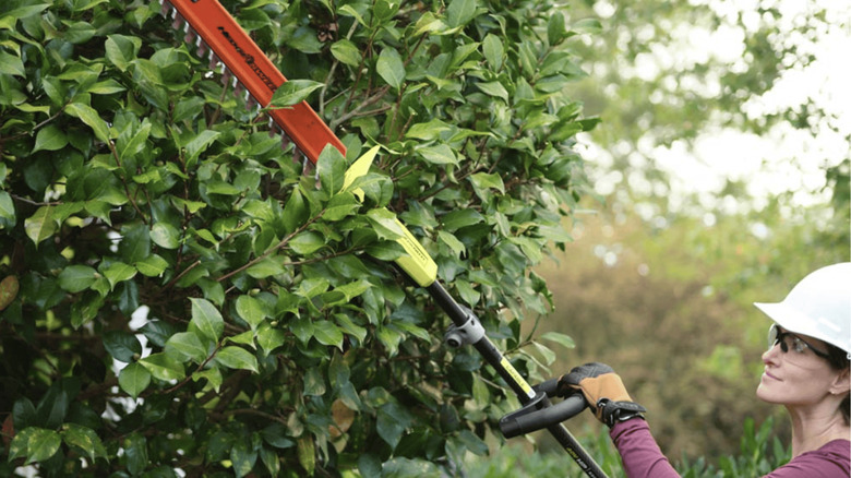 Woman using Ryobi Expand-It hedge trimmer attachment on tall bush