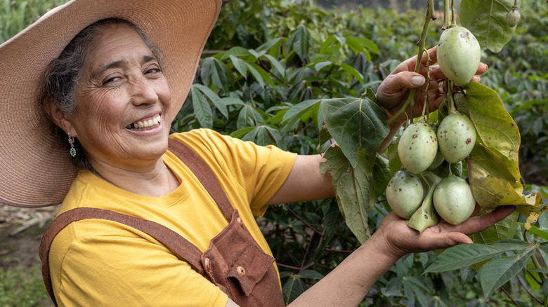 Woman smiling and holding up tree tomatoes