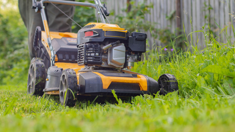 Person mowing grass