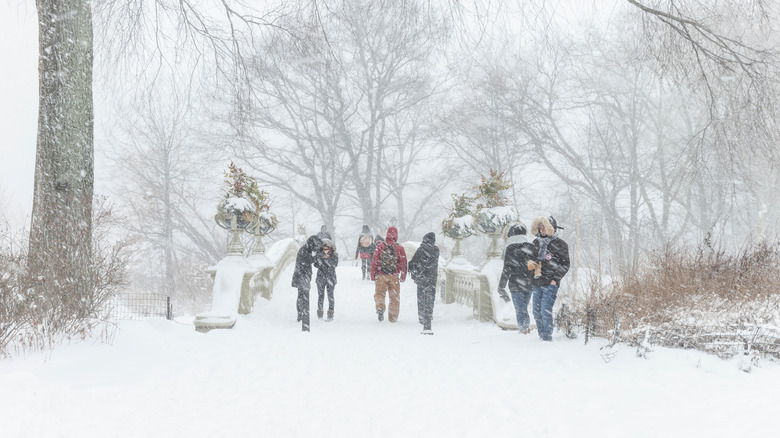 Bomb cyclone in central park