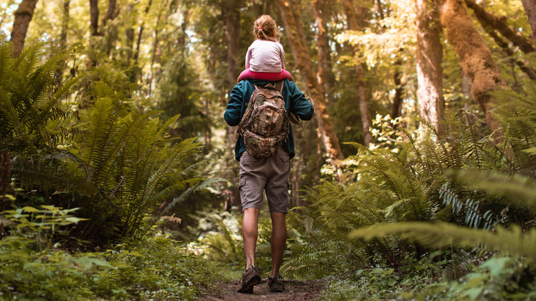 a man carries his daughter on his shoulders through the woods