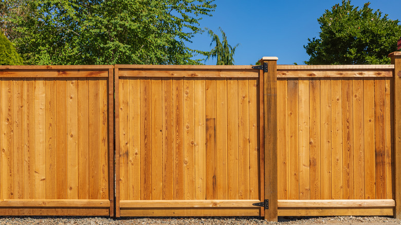 Pressure-treated wooden fence with trees and greenery in the background