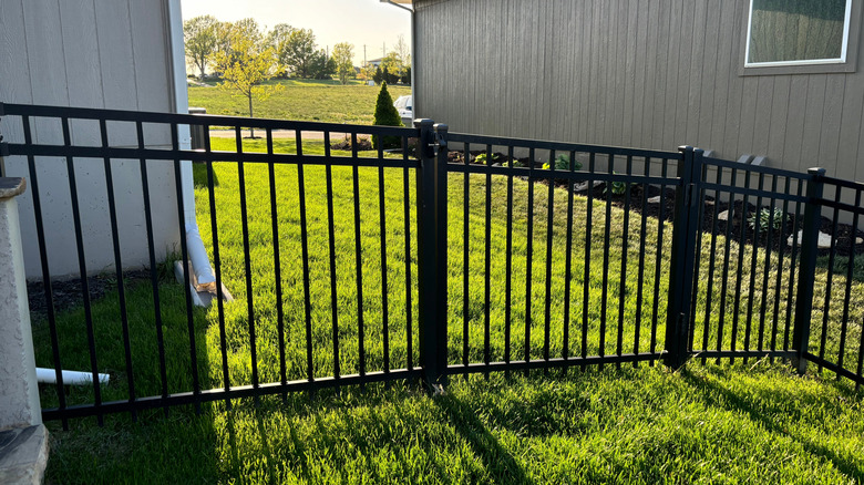 Aluminum fencing in a backyard