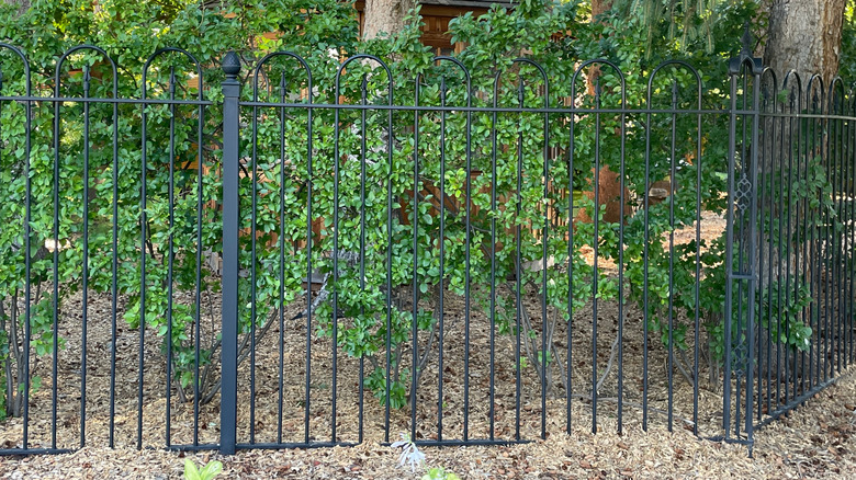 Taller aluminum fence with decorative tops