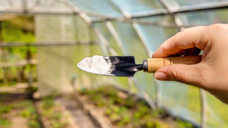Gardener examining soil in hand
