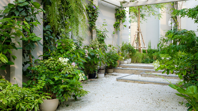 A walled garden space with gravel