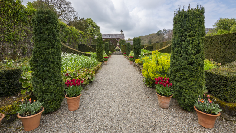 A gravel path running through a garden