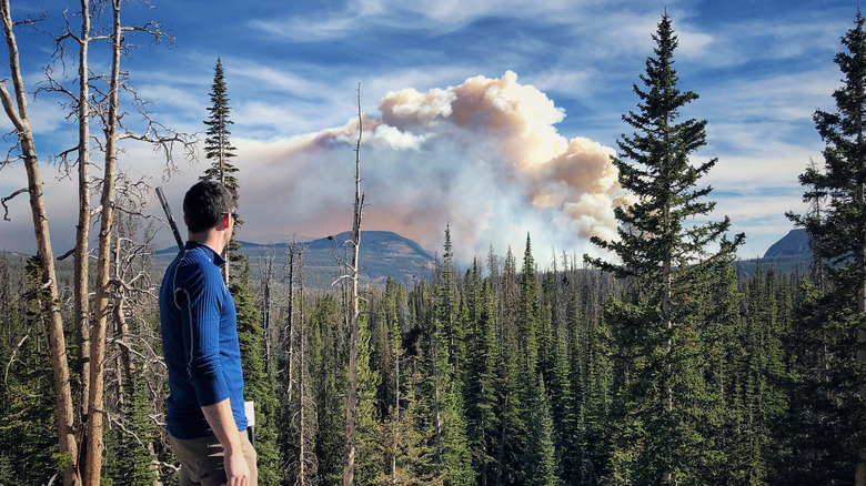 Man watching distant wildfire smoke
