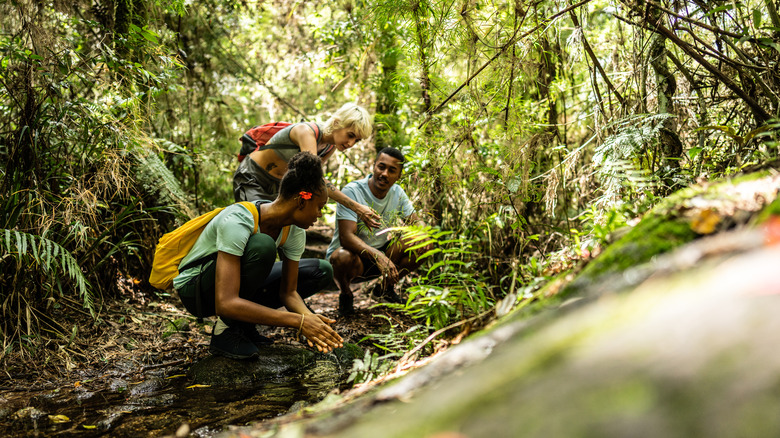 Three people crouched on a wooded trail looking at plants