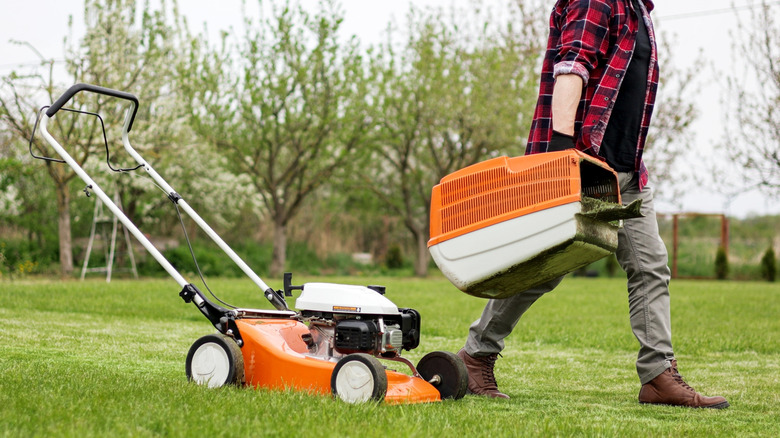 A man takes a bin loaded with grass clippings away from his lawn mower