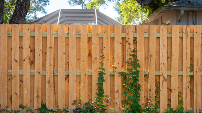 A wooden fence provides privacy from a neighboring property.