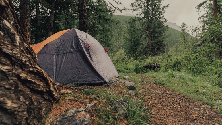 Backcountry campsite