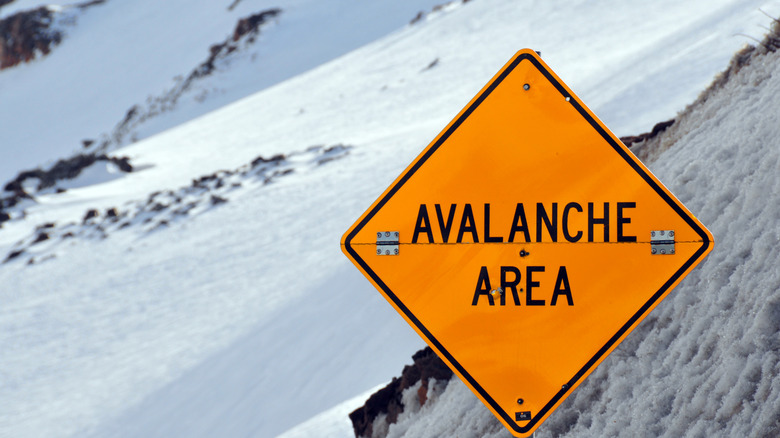 avalanche area warning sign
