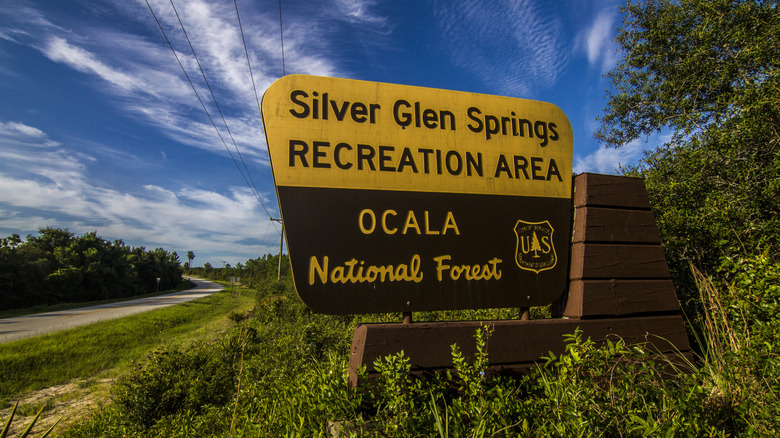 ocala national forest entry sign