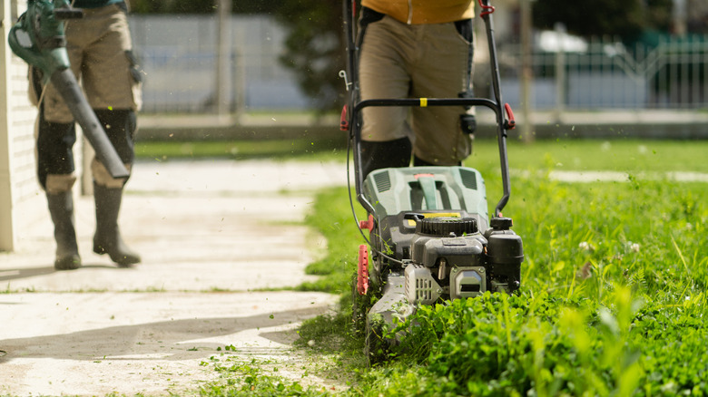 two lawn care workers mowing and using a grass blower on a yard