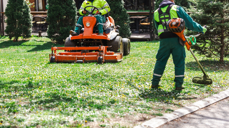 professional lawn company mowing and trimming the grass