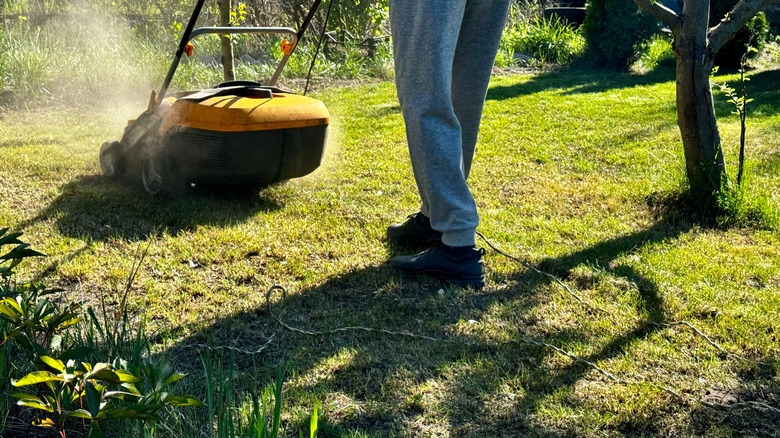 person maintaining lawn in spring