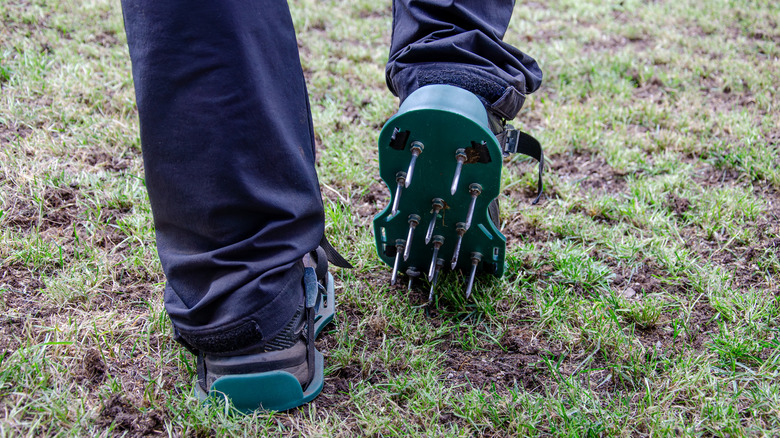 Someone walking on their lawn with aerator shoes on