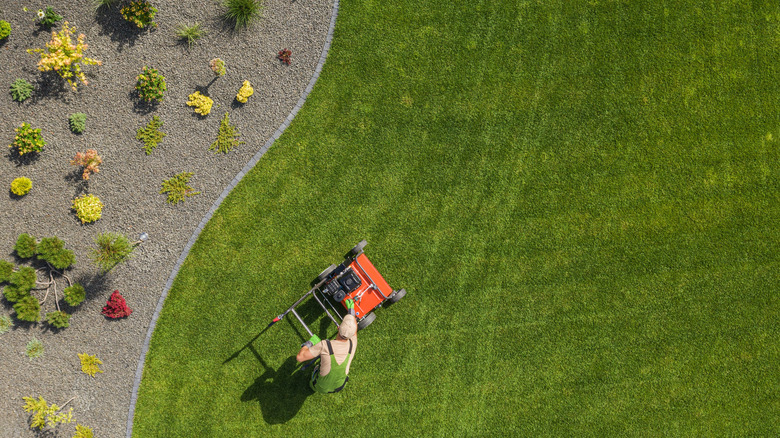 Man mowing lawn near gravel-mulched garden