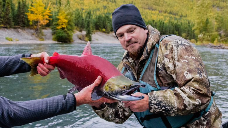 Fisherman holds coho salmon caught in Alaska