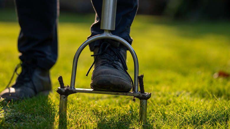 Close-up of dark boots on a lawn, fitted with a hand-aerator tool