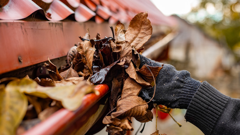 Gloved hand cleaning gutters