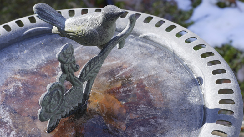 Frozen water in bird bath