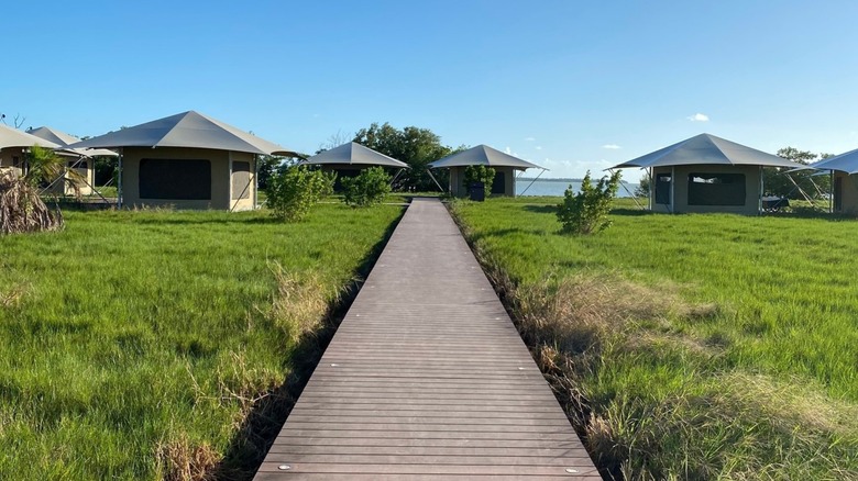 Glamping tents at Flamingo Lodge in Everglades, FL