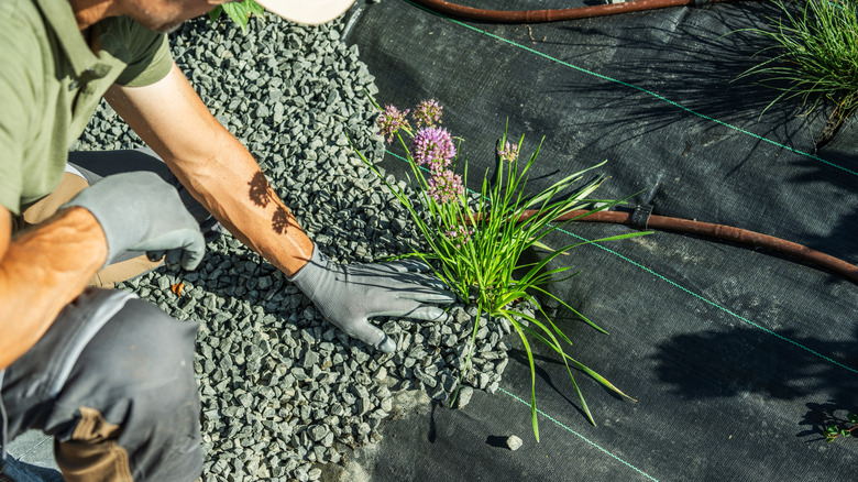 Covering landscape fabric with gravel