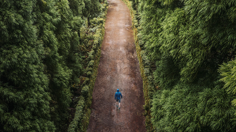 Hiking in pacific northwest