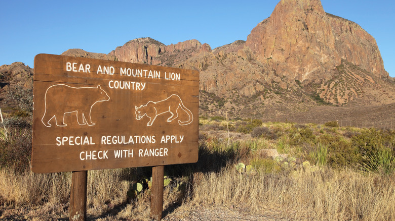 Danger sign at Big Bend National Park in Texas