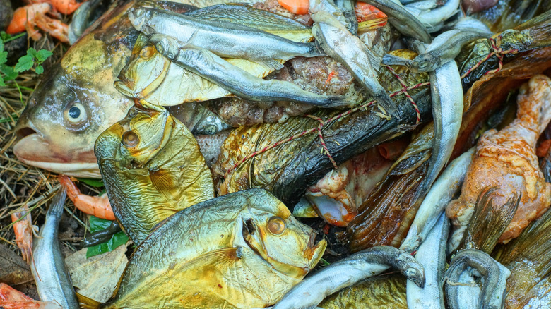 A pile of fish and other meats