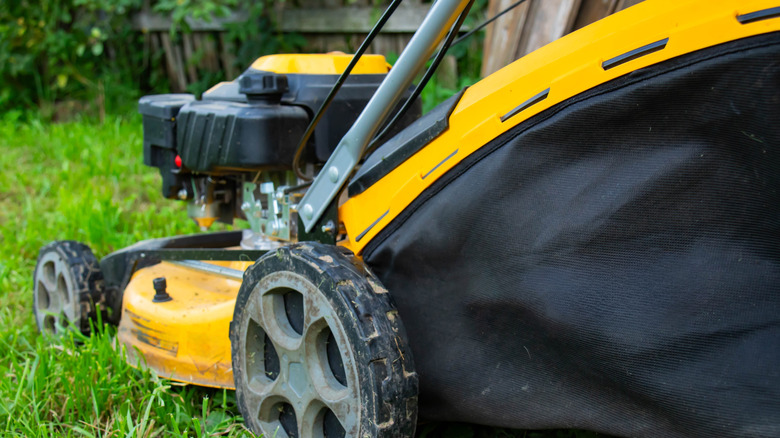 Lawn mower on lawn, with larger rear wheels