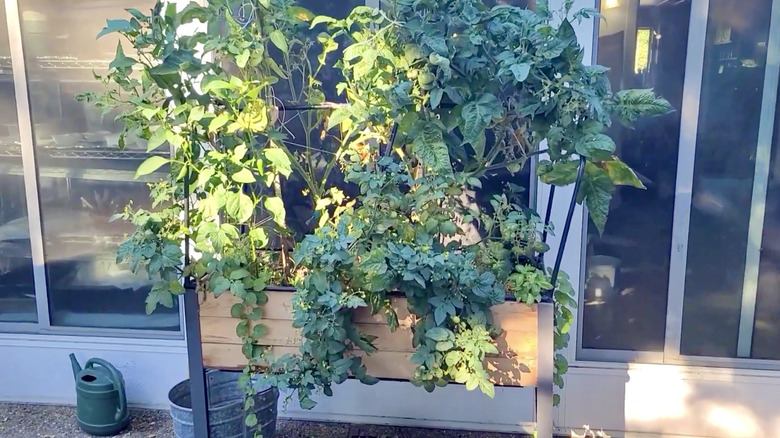 CedarCraft self-watering raised bed planter