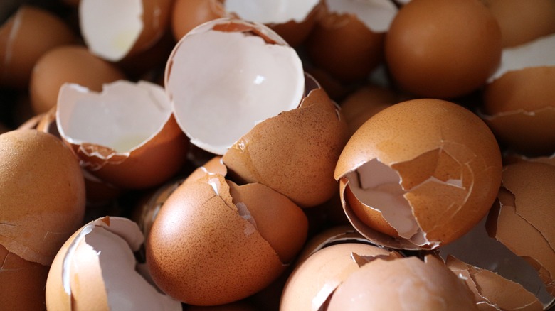 cracked, empty egg shells