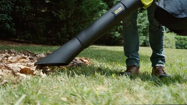 Man vacuuming leaves from the grass