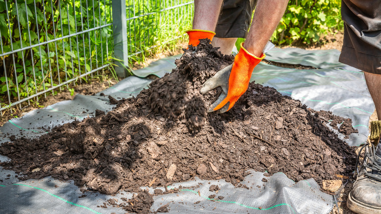 person laying down landscape fabric in bed under mulch