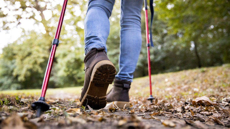 Hiker's legs and trekking poles on leafy ground