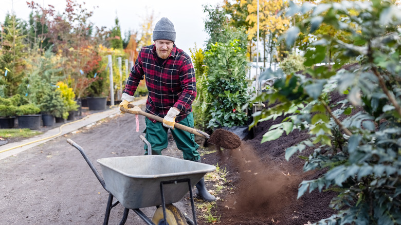 Winter hat gardener getting garden ready