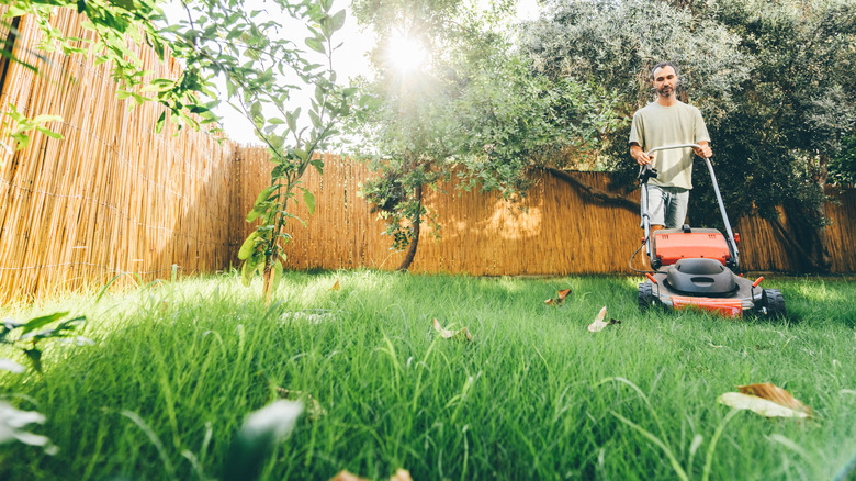 A man mowing a beautiful green lawn
