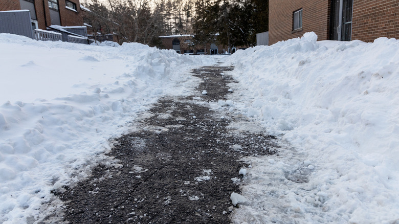 A shoveled path in the snow