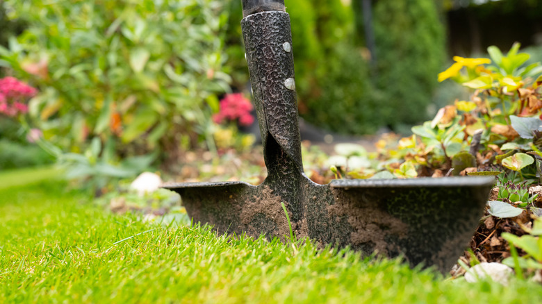 hand-digging edging along a planting bed with a garden tool