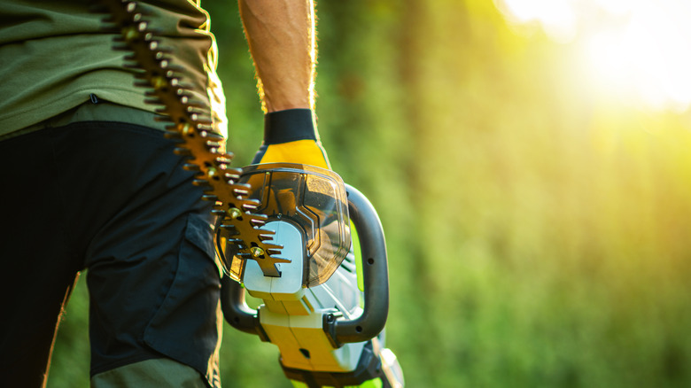 Man holding heavy duty hedge trimmer