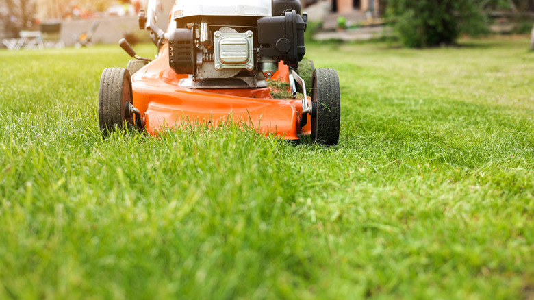 Push mower on a partially mown lawn