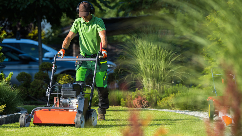 Gardener aerates lawn