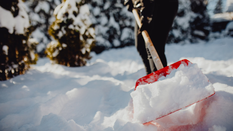 Will TikTok's Viral Snow Removal Hack Work In Your Yard? Here's What We Know