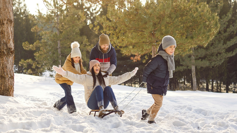 A family of four sledding in the snow