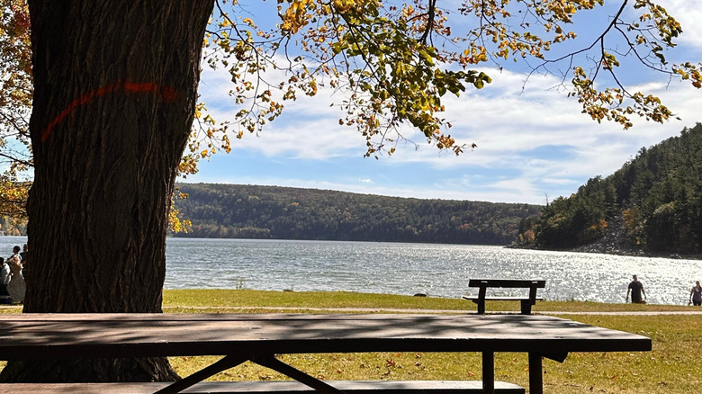 Picnic table and park bench at Devil's Lake State Park