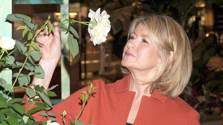 Martha Stewart looking at flower