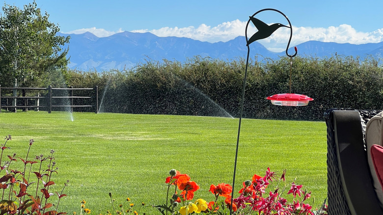 Hummingbird feeder in yard with mountains and flowers
